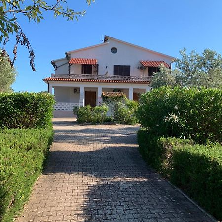 Villa Conti Residence Lacona Ngoại thất bức ảnh